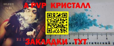 СК Краснодар