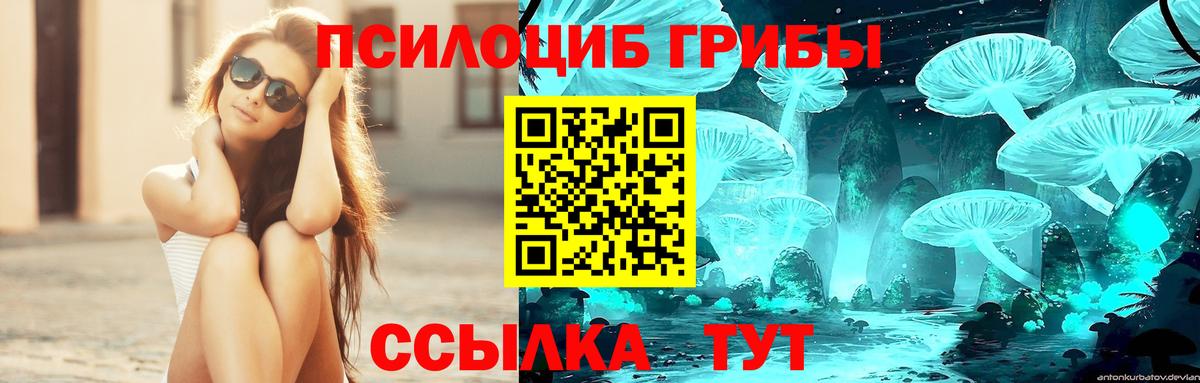 Галлюциногенные грибы ЛСД  Вход с VPN  наркошоп  Псилоцибиновые грибы прущие грибы  Кирово-Чепецк 